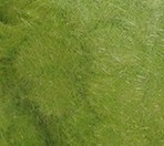 GROUND UP DAINTREE GREEN STATIC GRASS 5mm