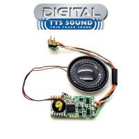 HORNBY R8113 CLASS 9F DIGITAL SOUND DECODER