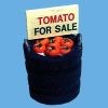 TUB OF TOMATOES