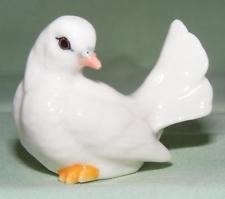 BIRD-WHITE PIGEON