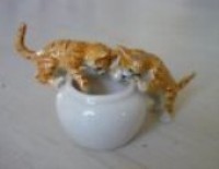 CATS IN BOWL-GINGER