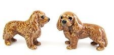 DOG-CAVALIER KING CHARLES SPANIAL-TINY