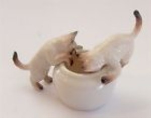 CATS IN BOWL-SIAMESE