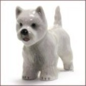 DOG-WEST HIGHLAND TERRIER