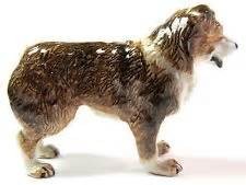 DOG-AUSTRALIAN SHEPHERD