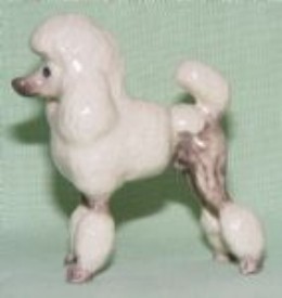 DOG-POODLE