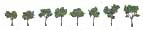 WOODLAND SCENICS TR1501 REALISTIC TREES