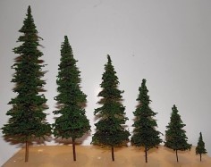 GROUND UP PINE TREES 75MM TALL