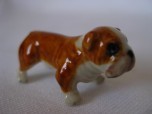 DOG-MINI BULLDOG-STANDING