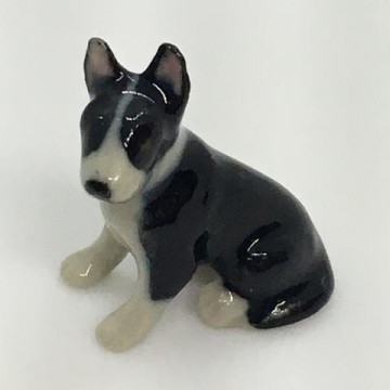 TINY BULL TERRIER SITTING