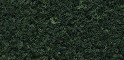 WOODLAND SCENICS F53 FOLIAGE-DARK  GREEN