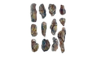 WOODLAND SCENICS C1246 CREEK BED ROCKS-MOLD