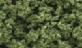 WS-FC862 CLUMP FOLIAGE-LT GREEN