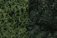 WOODLAND SCENICS L168 LICHEN DARK GREEN MIX