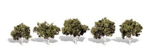 WOODLAND SCENICS  TR3532 WATERS EDGE 5 PACK TREES