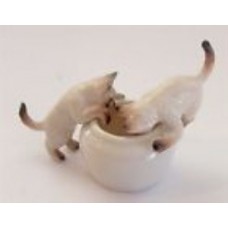 CATS IN BOWL-SIAMESE