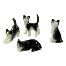  CAT-TINY KITTENS BLACK & WHITE x 4