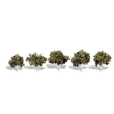 WOODLAND SCENICS  TR3532 WATERS EDGE 5 PACK TREES